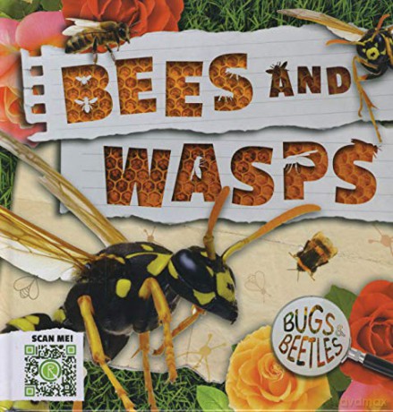 Bees and Wasps (Bugs and Beetles) - John Wood [KSIĄŻKA]