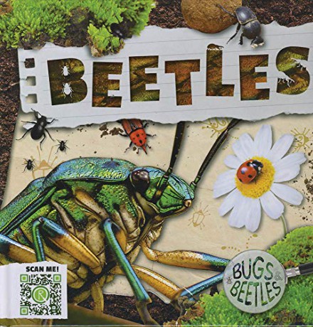 Beetles (Bugs and Beetles) - John Wood [KSIĄŻKA]