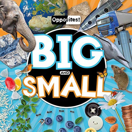 Big and Small (Opposites!) - Emilie Dufresne [KSIĄŻKA]