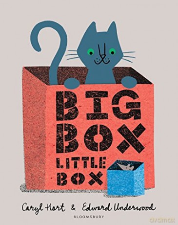 Big Box Little Box - Caryl Hart [KSIĄŻKA]