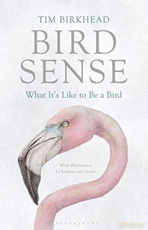 Bird Sense: What It's Like to Be a Bird - Tim Birkhead [KSIĄŻKA]