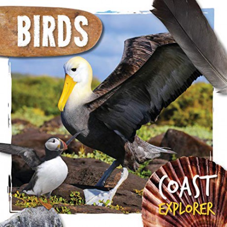 Birds (Coast Explorer) - Robin Twiddy [KSIĄŻKA]