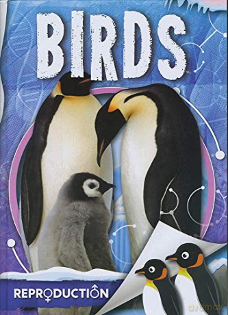 Birds (Parts of an Animal) - Emilie Dufresne [KSIĄŻKA]
