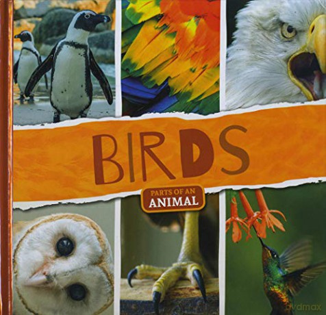 Birds (Parts of an Animal) - Emilie Dufresne [KSIĄŻKA]
