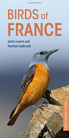 Birds of France (Pocket Photo Guides) - James Lowen [KSIĄŻKA]