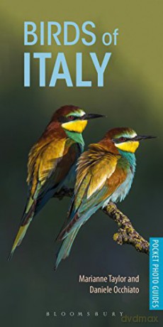 Birds of Italy (Pocket Photo Guides) - Marianne Taylor, Daniele Occhiato [KSIĄŻKA]