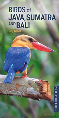 Birds of Java, Sumatra and Bali (Pocket Photo Guides) - Tony Tilford [KSIĄŻKA]