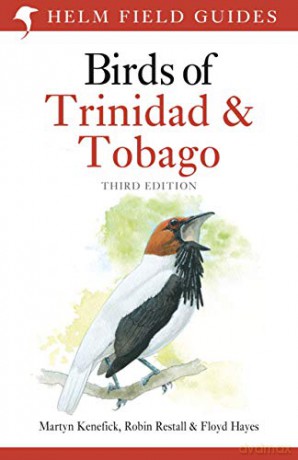 Birds of Trinidad and Tobago: Third Edition (Helm Field Guides) - Floyd Hayes [KSIĄŻKA]