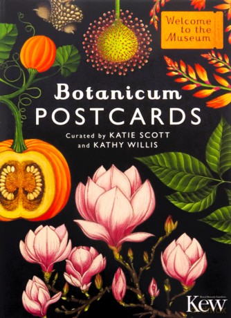 Botanicum Postcards (Welcome To The Museum) - Kathy Willis [KSIĄŻKA]