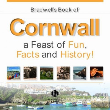 Bradwells Book of Cornwall - Camilla Zajac [KSIĄŻKA]