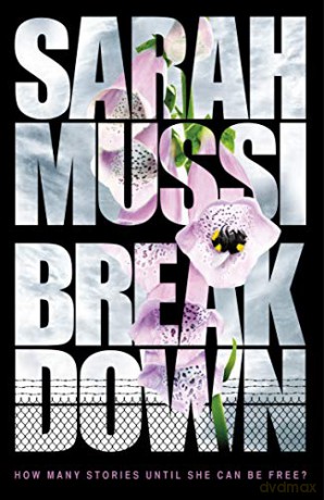 Breakdown - Sarah Mussi [KSIĄŻKA]