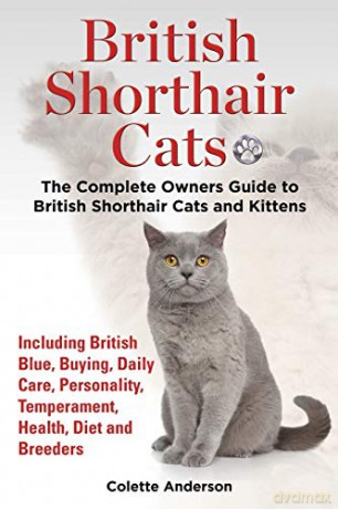 British Shorthair Cats, The Complete Owners Guide to British Shorthair Cats and Kittens Including British Blue, Buying, Daily Care, Personality, Temperament, Health, Diet and Breeders - Colette Anderson [KSIĄŻKA]