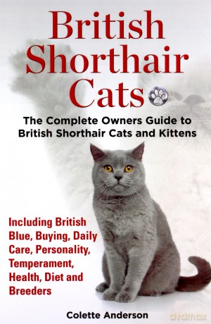 British Shorthair Cats, The Complete Owners Guide to British Shorthair Cats and Kittens Including British Blue, Buying, Daily Care, Personality, Temperament, Health, Diet and Breeders - Colette Anderson [KSIĄŻKA]