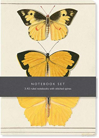 Butterfly Notebook Set: 3 A5 lined notebooks with stitched spines - Bodleian Library [KSIĄŻKA]