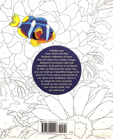 Calm Colour by Numbers (Arcturus Colour by Numbers Collection) - David Woodroffe [KSIĄŻKA]