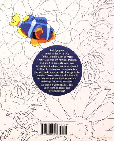 Calm Colour by Numbers (Arcturus Colour by Numbers Collection) - David Woodroffe [KSIĄŻKA]