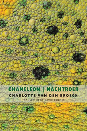 Chameleon | Nachtroer - Charlotte Van den Broeck [KSIĄŻKA]