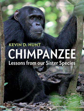 Chimpanzee: Lessons from our Sister Species - Kevin D. Hunt [KSIĄŻKA]