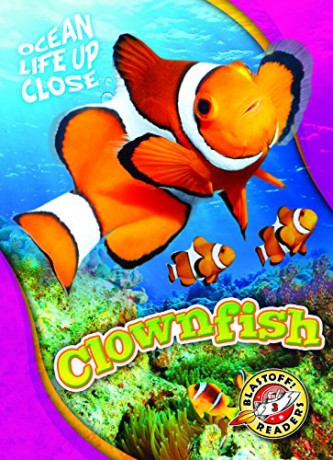 Clownfish (Ocean Life Up Close) - Kari Schuetz [KSIĄŻKA]