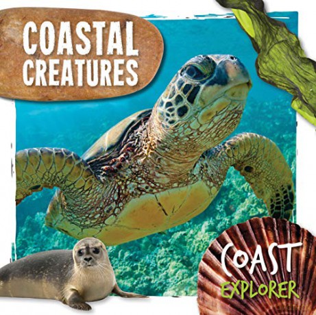 Coastal Creatures (Coast Explorer) - Robin Twiddy [KSIĄŻKA]