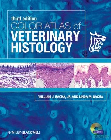 Color Atlas of Veterinary Histology - William J. Bacha Jr. [KSIĄŻKA]