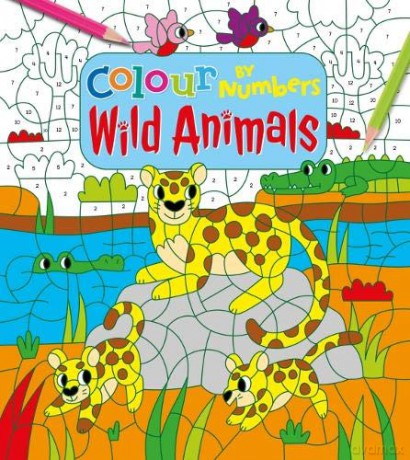 Colour by Numbers: Wild Animals - Claire Stamper [KSIĄŻKA]