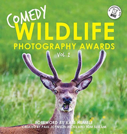 Comedy Wildlife Photography Awards Vol. 2: The perfect hilarious gift for Christmas - Paul Joynson-Hicks, Tom Sullam [KSIĄŻKA]