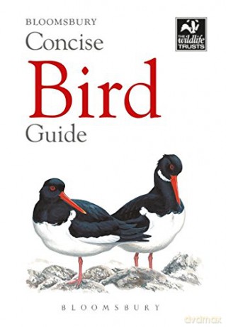 Concise Bird Guide (The Wildlife Trusts) - Bloomsbury [KSIĄŻKA]