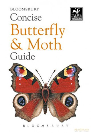Concise Butterfly and Moth Guide (The Wildlife Trusts) - Bloomsbury [KSIĄŻKA]