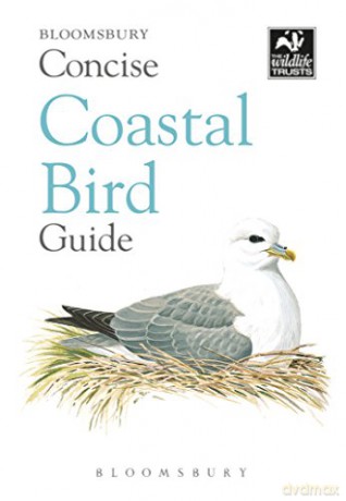 Concise Coastal Bird Guide (The Wildlife Trusts) [KSIĄŻKA]