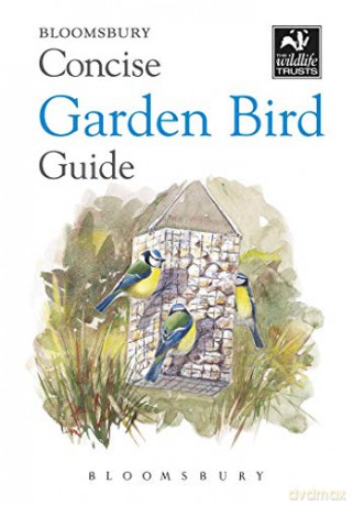 Concise Garden Bird Guide (The Wildlife Trusts) - Bloomsbury [KSIĄŻKA]