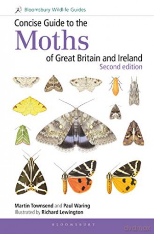 Concise Guide to the Moths of Great Britain and Ireland: Second edition - Martin Townsend [KSIĄŻKA]