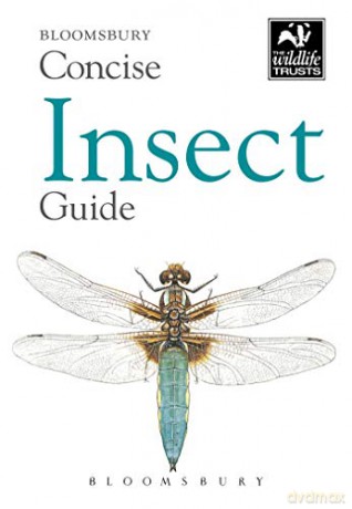 Concise Insect Guide (The Wildlife Trusts) - Bloomsbury [KSIĄŻKA]