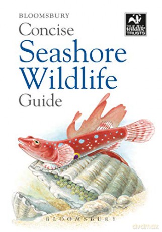 Concise Seashore Wildlife Guide (The Wildlife Trusts) - Bloomsbury [KSIĄŻKA]