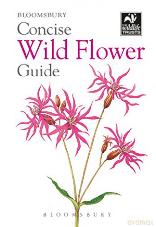 Concise Wild Flower Guide (The Wildlife Trusts) - Bloomsbury [KSIĄŻKA]