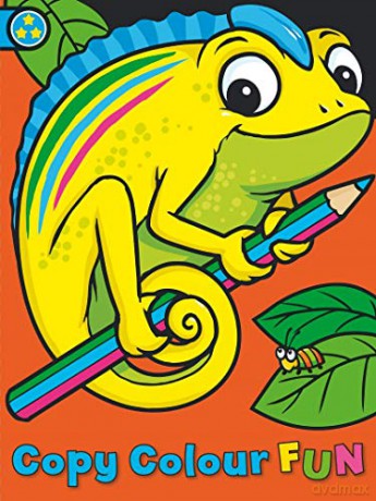 Copy Colour Fun: Chameleon - Angela Hewitt [KSIĄŻKA]