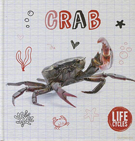 Crab (Life Cycles) - Shalini Vallepur [KSIĄŻKA]