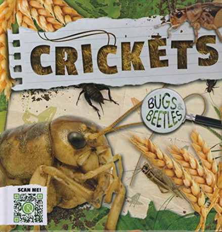 Crickets (Bugs and Beetles) - John Wood [KSIĄŻKA]