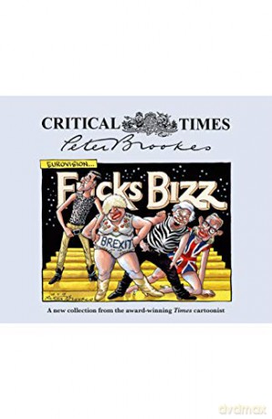 Critical Times - Peter Brookes [KSIĄŻKA]