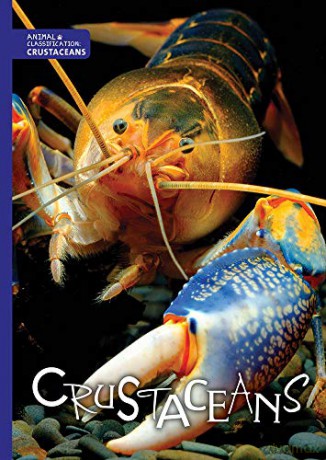 Crustaceans (Animal Classification) - Joanna Brundle [KSIĄŻKA]