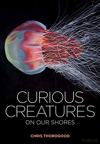 Curious Creatures on our Shores - Chris Thorogood [KSIĄŻKA]
