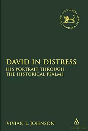 David in Distress: His Portrait Through the Historical Psalms (The Library of Hebrew Bible/Old Testament Studies) - Vivian L. Johnson [KSIĄŻKA]