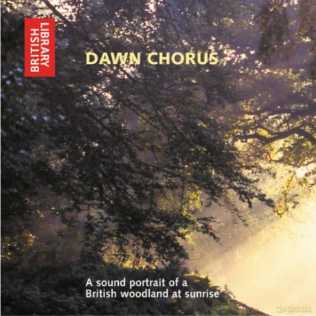 Dawn Chorus: A Sound Portrait of a British Woodland at Sunrise [KSIĄŻKA]