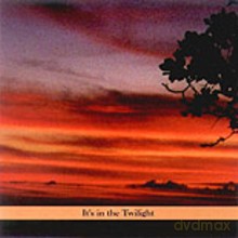 Paul Shapiro, Steven Bernstein: It's in the Twilight [CD]