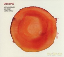 Soren Kjaergaard, Ben Street, Andrew Cyrille: Open Opus [CD]