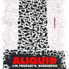 Jean-Marc Foussat, Sylvain Guerineau: Aliquid [CD]