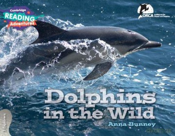 Dolphins in the Wild 3 Explorers (Cambridge Reading Adventures) - Anna Bunney [KSIĄŻKA]
