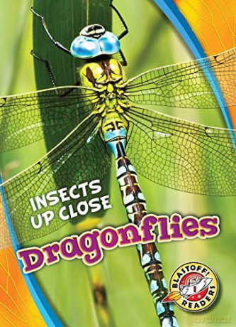 Dragonflies (Insects Up Close) - Patrick Perish [KSIĄŻKA]