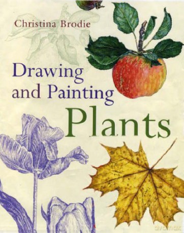 Drawing and Painting Plants - Christina Brodie [KSIĄŻKA]