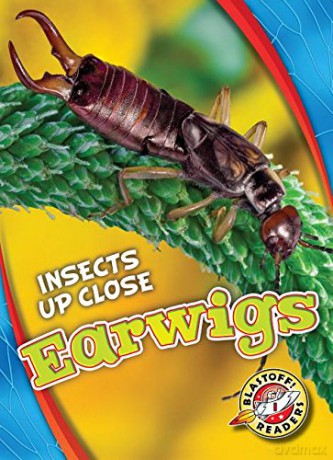 Earwigs (Insects Up Close) - Patrick Perish [KSIĄŻKA]